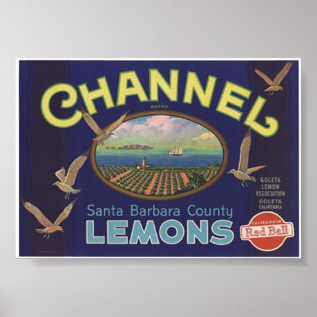 Affiche Vintage Vieux citrons Fruit Crate Étiquettes (Devant)