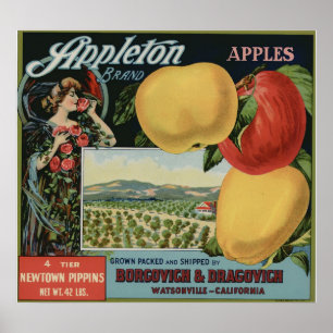 Affiche Vintage Vieux Étiquettes de la pomme Fruit
