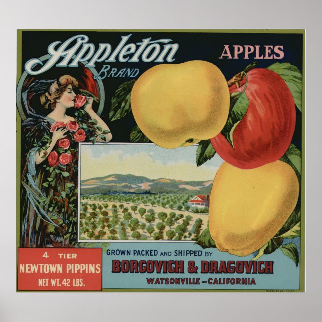 Affiche Vintage Vieux Étiquettes de la pomme Fruit (Devant)