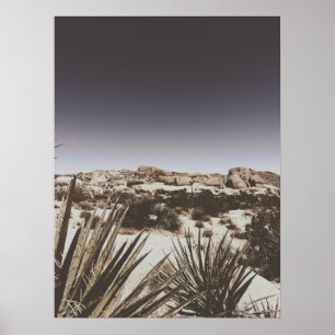 Affiche Vintage Warm Toned Joshua Tree Desert