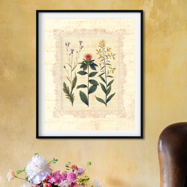 Affiche Vintage Wild Flowers Feminine Boudoir Print (Créateur téléchargé)