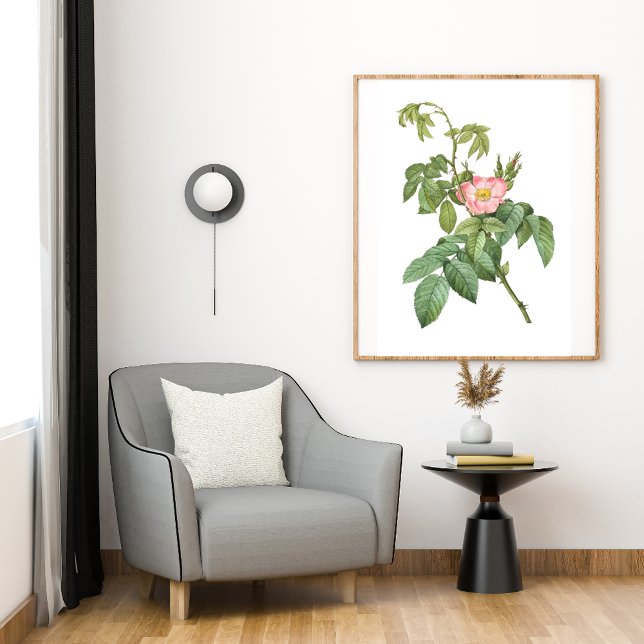 Affiche Vintage Wild Rose Botanique Art Imprimable (Créateur téléchargé)
