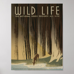 Affiche vintage WPA de la vie sauvage