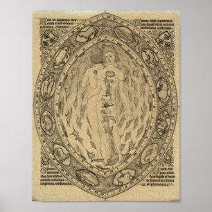 Affiche Vintage Zodiac Atrology Chart