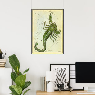 Affiche Vintage Zodiaque, Astrologie Constellation Scorpio