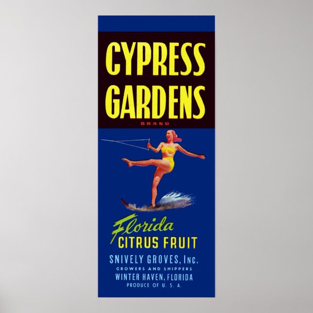 Affiche Vintages Cypress Gardens Floride Agrumes (Devant)