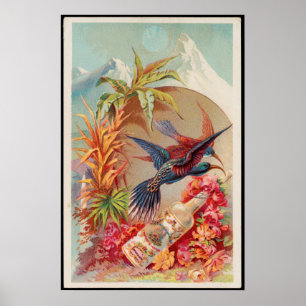 Affiche Vintages oiseaux tropicaux Florida Water Advertise