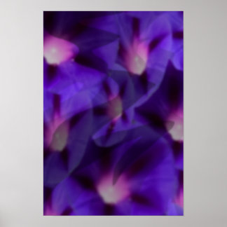 Affiche Viola Skys