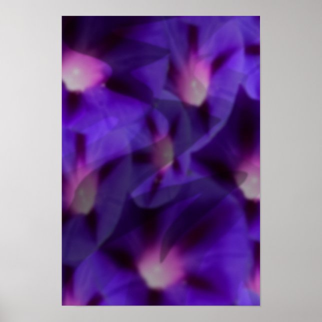 Affiche Viola Skys (Devant)