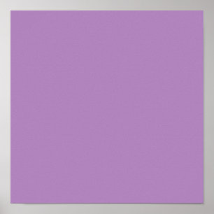 Affiche Violet africain (couleur solide)