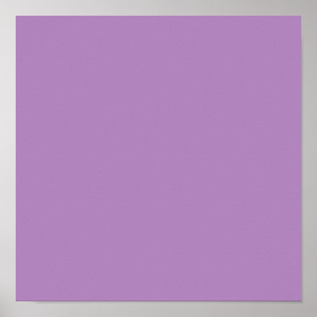 Affiche Violet africain (couleur solide) (Devant)