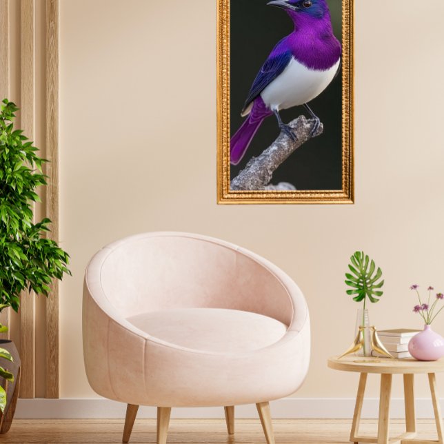 Affiche Violet-backed Starling  (Créateur téléchargé)