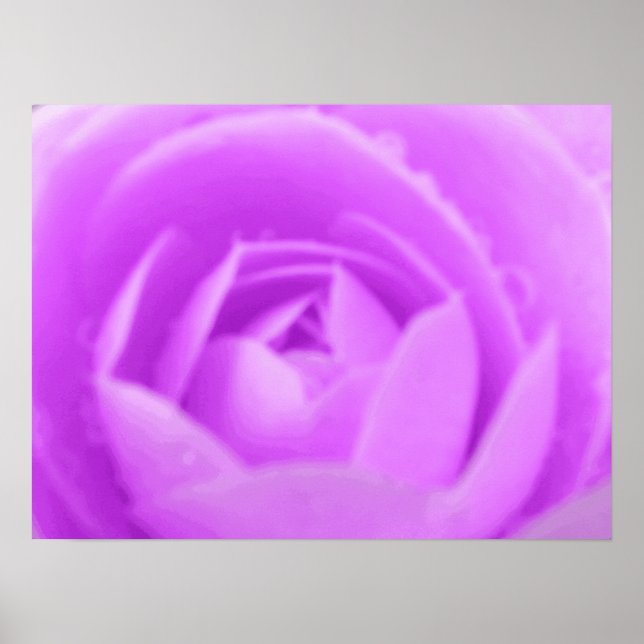 Affiche Violet Camellia Imprimer (Devant)