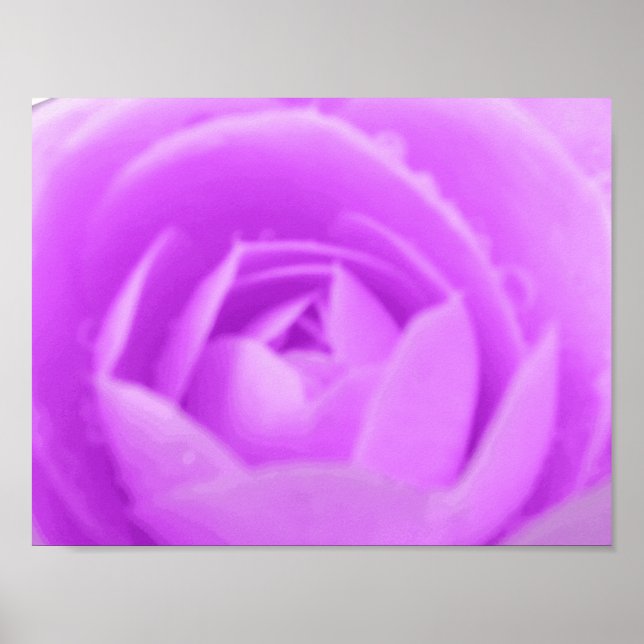 Affiche Violet Camellia Imprimer (Devant)