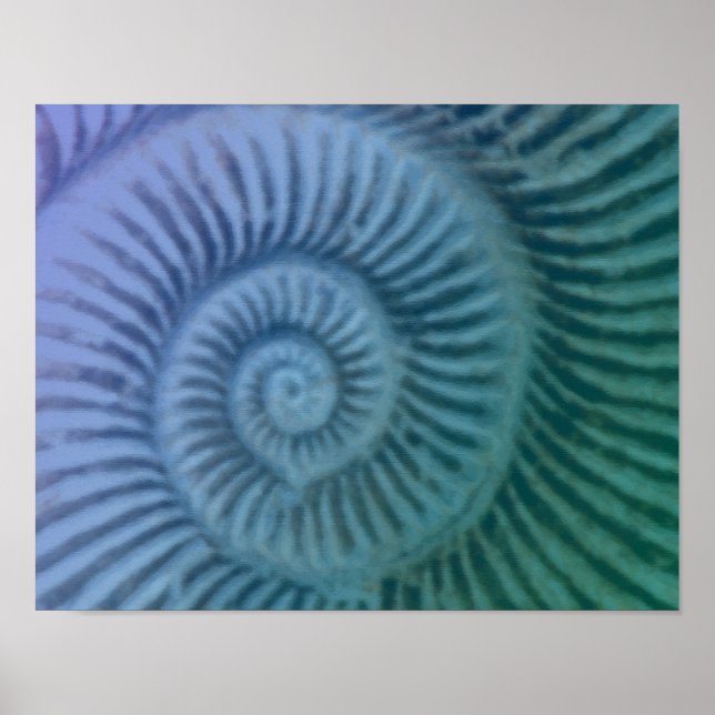 Affiche Violet et vert Spiral Ammonite Fossil Art Imprimer (Devant)