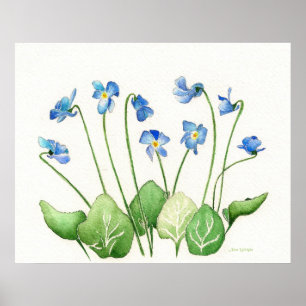 Affiche Violettes bleues