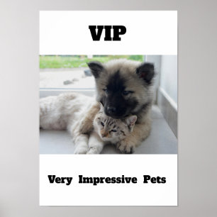 Affiche VIP Très Impressionnant Animaux de compagnie Migno