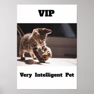 Affiche VIP Très Intelligent Animal de compagnie Adorable 