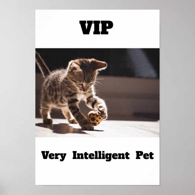 Affiche VIP Très Intelligent Animal de compagnie Adorable  (Devant)