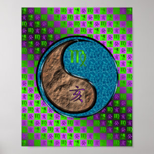 Affiche Virgo & Water Boar