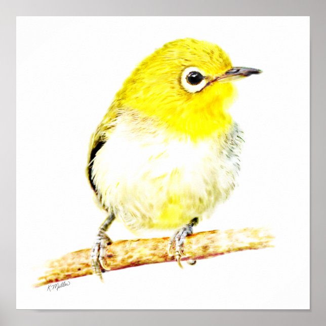 Affiche Viro jaune (Devant)