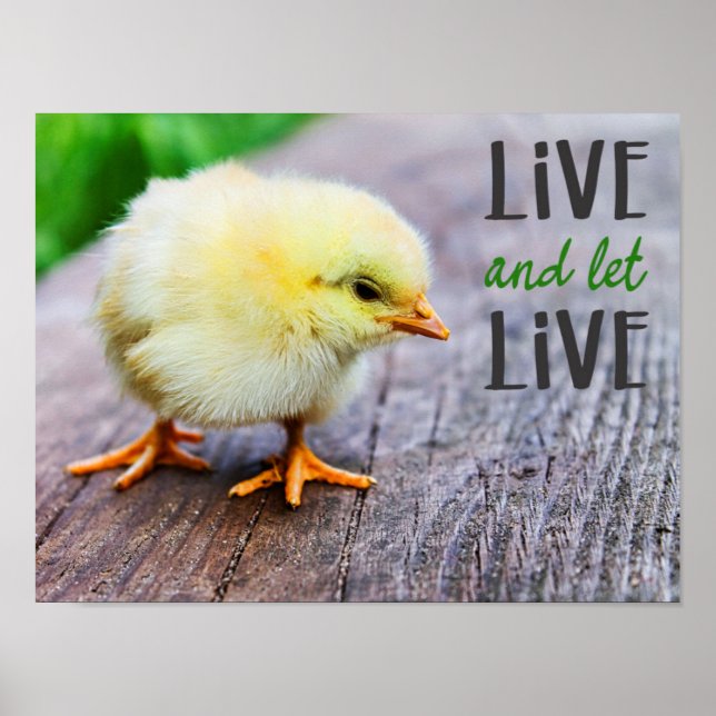 Affiche "Vis et laisse vivre" avec le mignon jaune pousset (Devant)