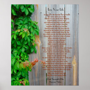 Affiche Vis ta vie, chef Tecumseh