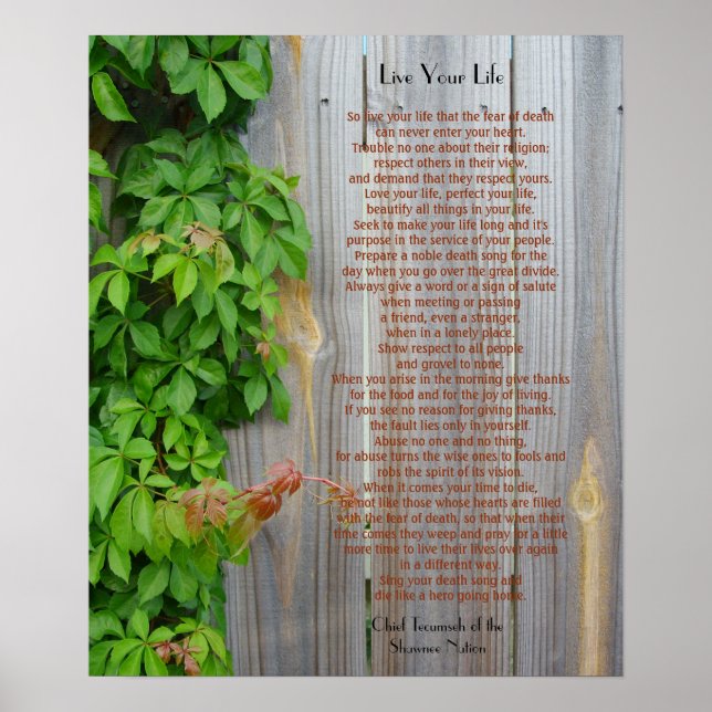 Affiche Vis ta vie, chef Tecumseh (Devant)