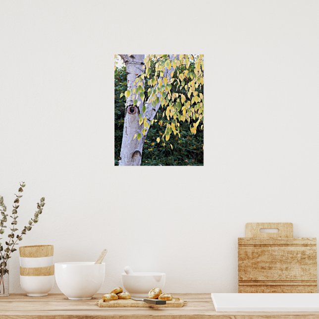 Affiche Visage d'Arbre de bouleau Nature (Cuisine)