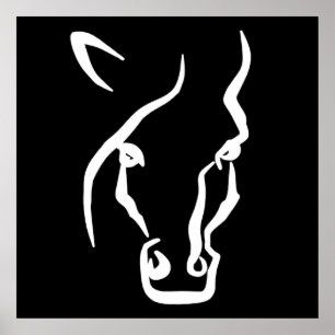 Affiche Visage de cheval blanc
