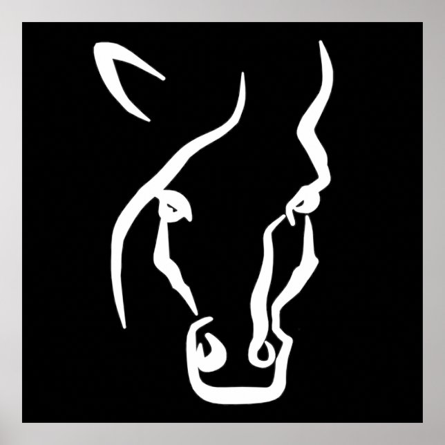 Affiche Visage de cheval blanc (Devant)