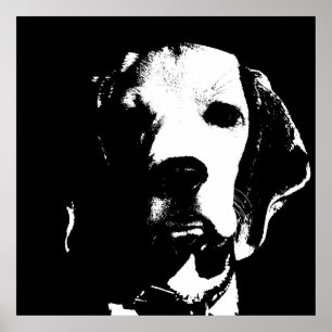 Affiche Visage de chien
