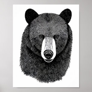 Affiche Visage de l'ours noir dessin original de l'art ani