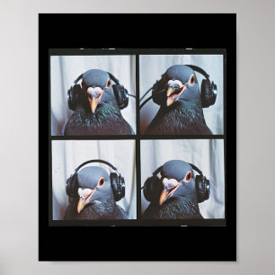 Affiche Visage de pigeon mignon Autisme Oiseau sensoriel A