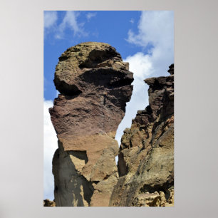 Affiche Visage de singe