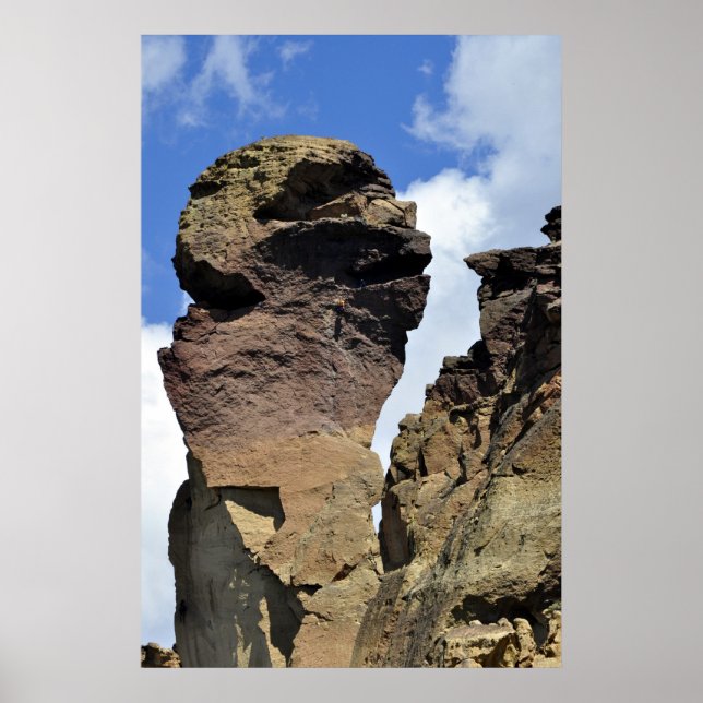 Affiche Visage de singe (Devant)