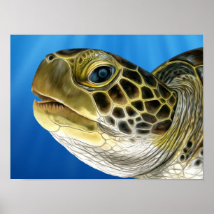 Affiche Visage de tortue verte pour enfants stylisée