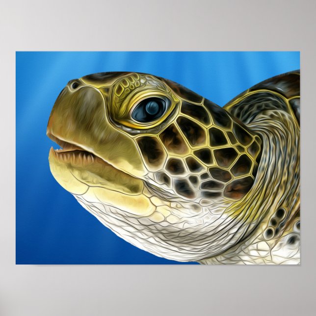 Affiche Visage de tortue verte pour enfants stylisée (Devant)