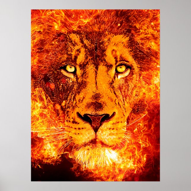 Affiche Visage du lion flamboyant (Devant)