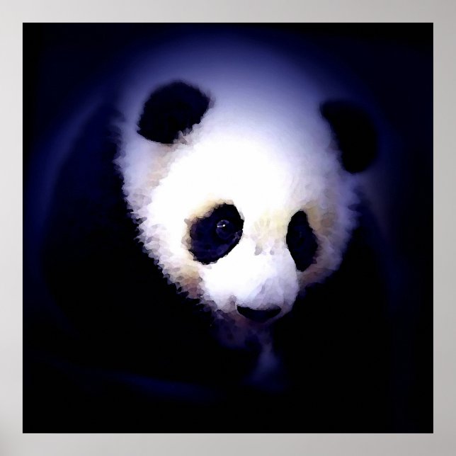 Affiche Visage Panda - Affiches et Impressions de  (Devant)