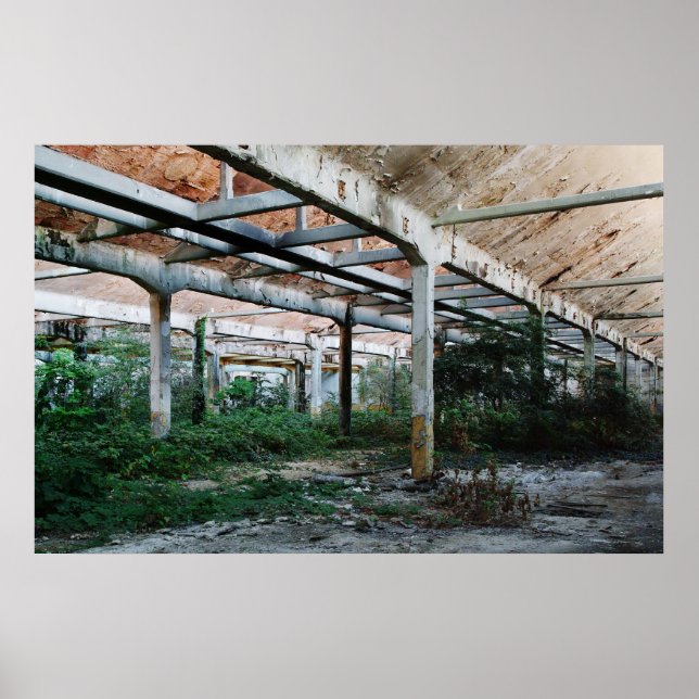 Affiche Viscosa 6 (Devant)