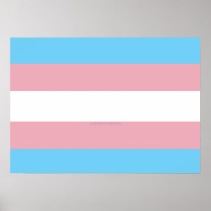 Affiche Visibilité du drapeau de fierté transgenre de Slip