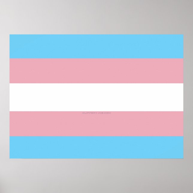 Affiche Visibilité du drapeau de fierté transgenre de Slip (Devant)