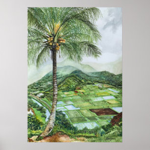 Affiche Visite de la vallée de Hanalei