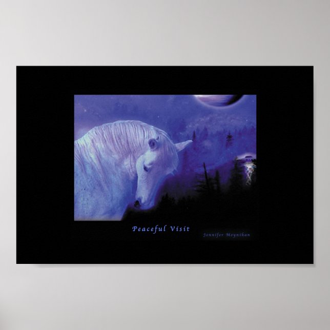 Affiche Visite tranquille (Devant)