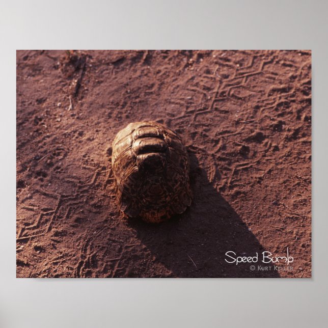 Affiche Vitesse (Devant)