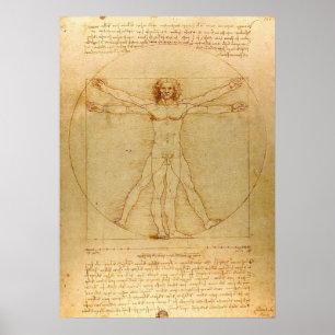 Affiche Vitruvian Man by Leonardo da Vinci