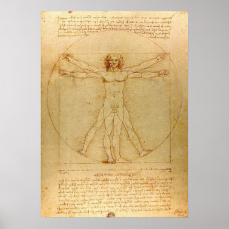 Affiche Vitruvian Man by Leonardo da Vinci