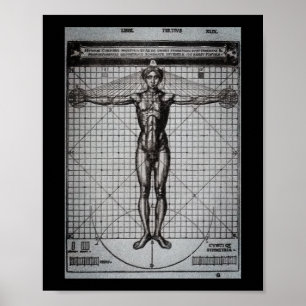 Affiche Vitruvian Man (Vitruvius : De architectura)