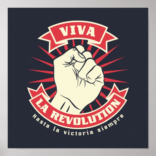 Affiche Viva La Révolution (Devant)